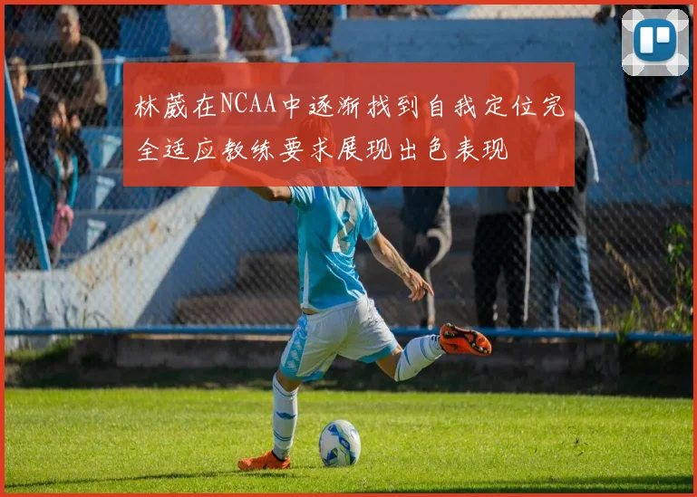 林葳在NCAA中逐渐找到自我定位完全适应教练要求展现出色表现
